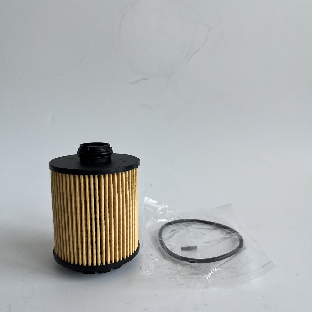 HU7043Z 1612565980 Filtr olejowy dla PetGeot